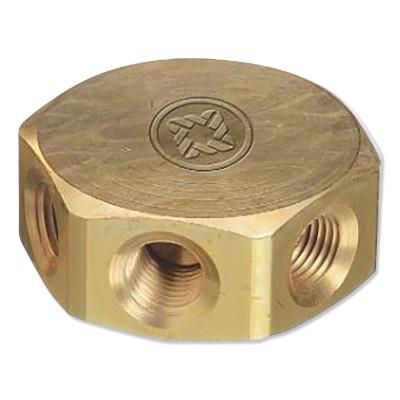 Western Enterprises Manifold Block, 3,000 psi, Brass, 2 in, MB-7
